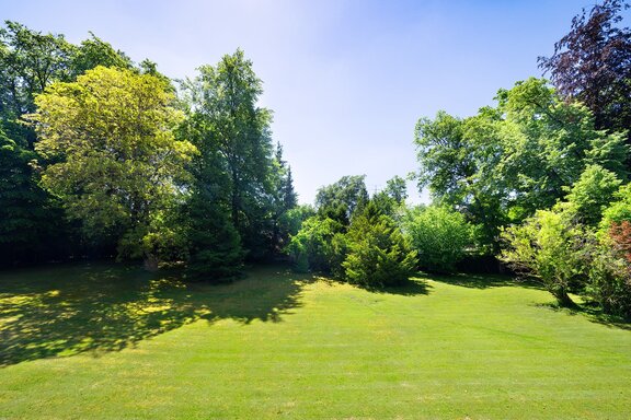 Idyllic park setting