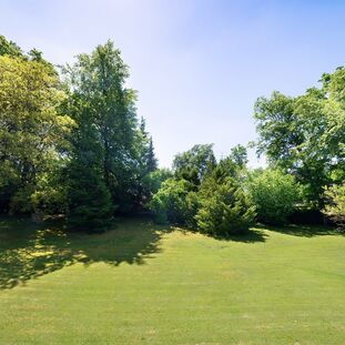 Idyllisches Park-Ambiente