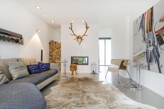 Living room with fireplace