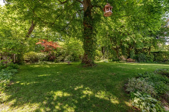 Garten mit altem Baumbestand