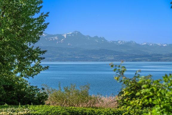 Panoramablicke auf den Bodensee