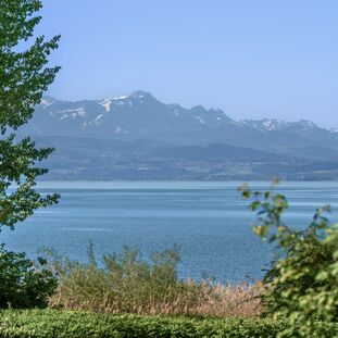 Panoramic views of Lake Constance