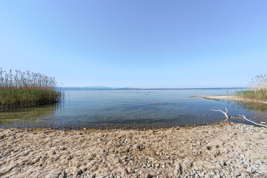 Direct access to the lake