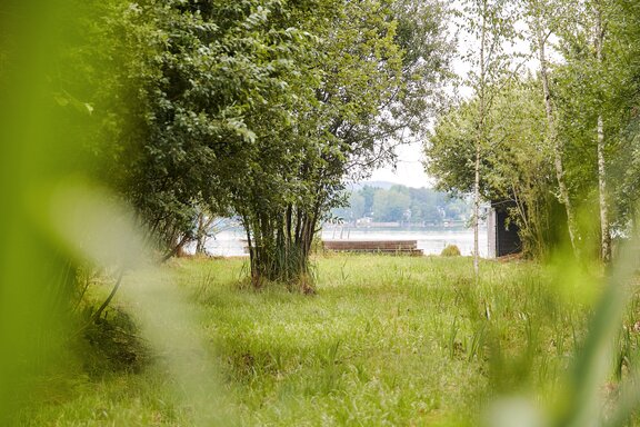 An idyllic path through the greenery, leading straight to the water