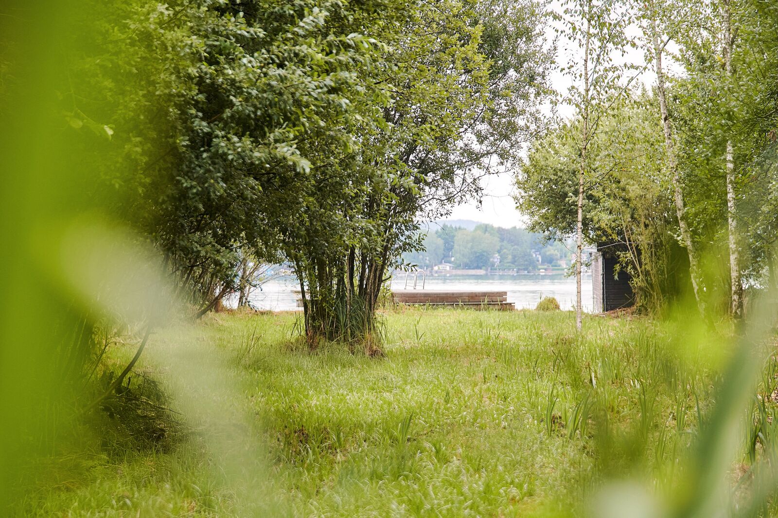 Idyllischer Weg durch das Grün direkt ans Wasser