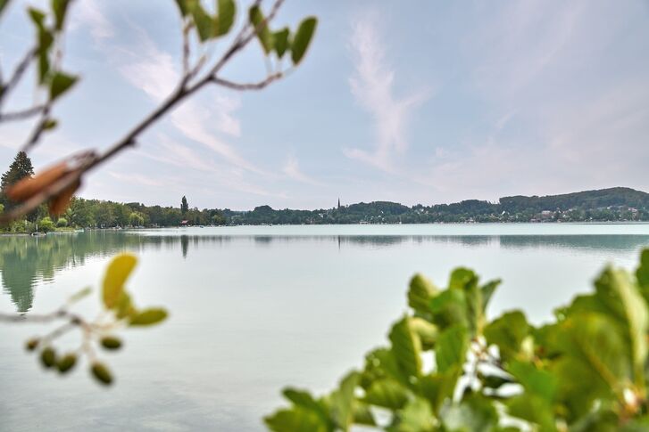 Traumhafter Panoramablick über den See