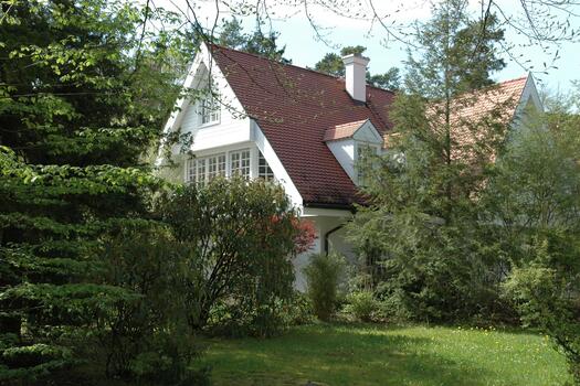 View from the garden
