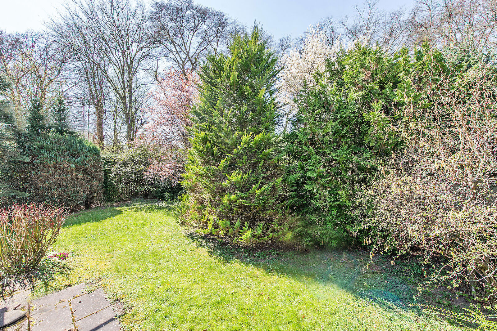 Schön eingewachsener Südwestgarten