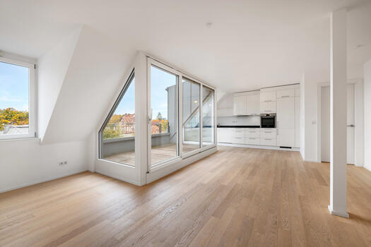 Living with dream view