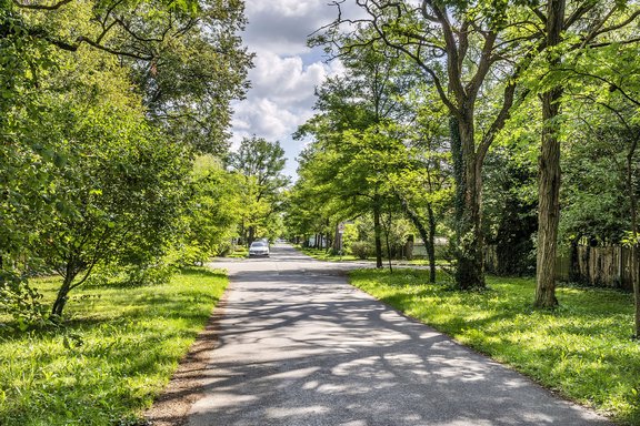 Green avenues of Hartmannshof
