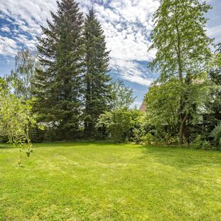 Idyllisches Park-Ambiente