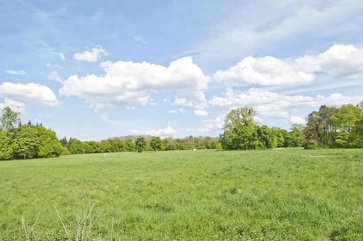 Ausblick in den angrenzenden Park