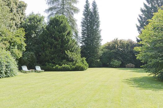 Park-like garden