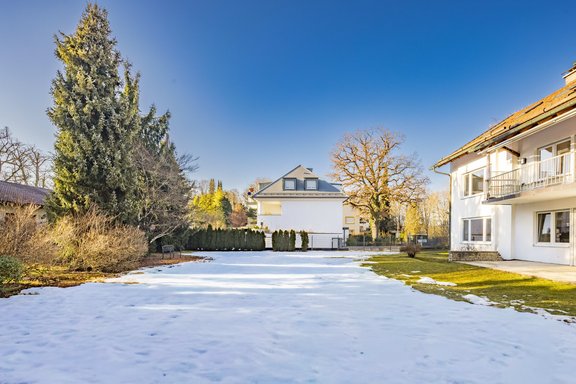 Ausgezeichneter Schnitt