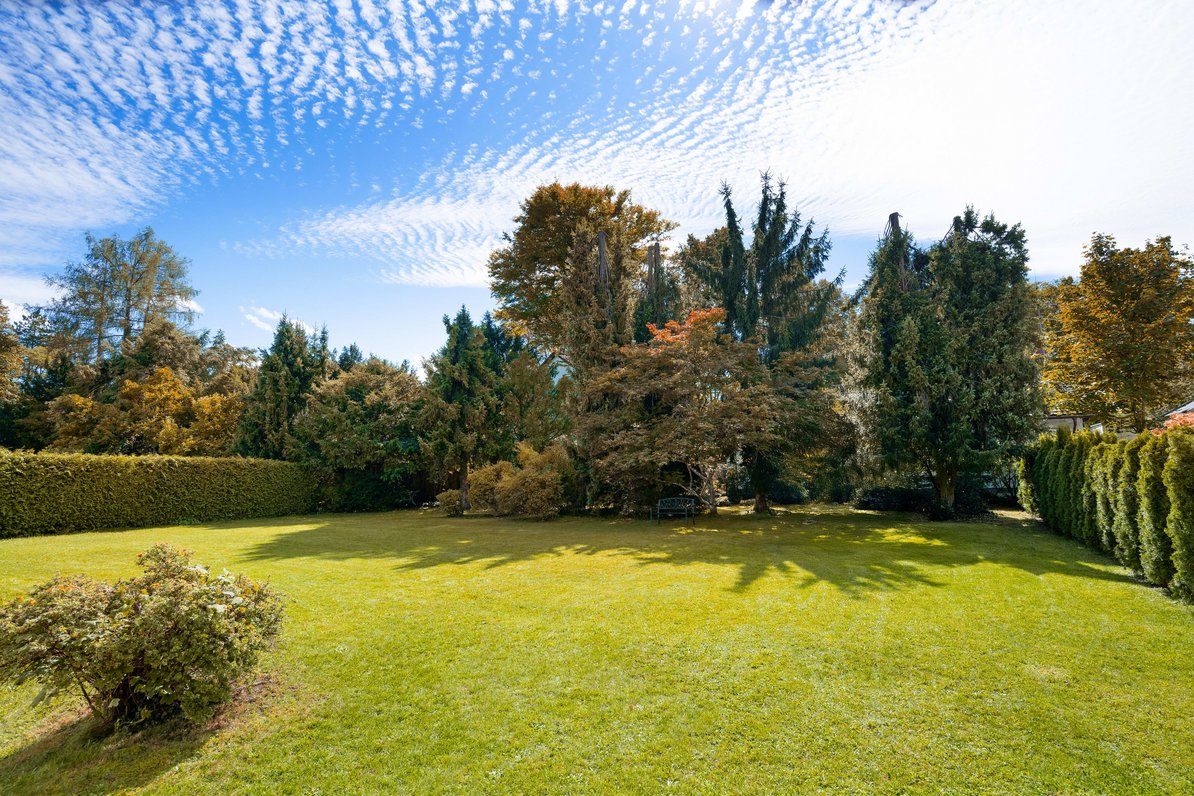 Sunny south-facing plot