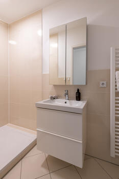 Guest bathroom