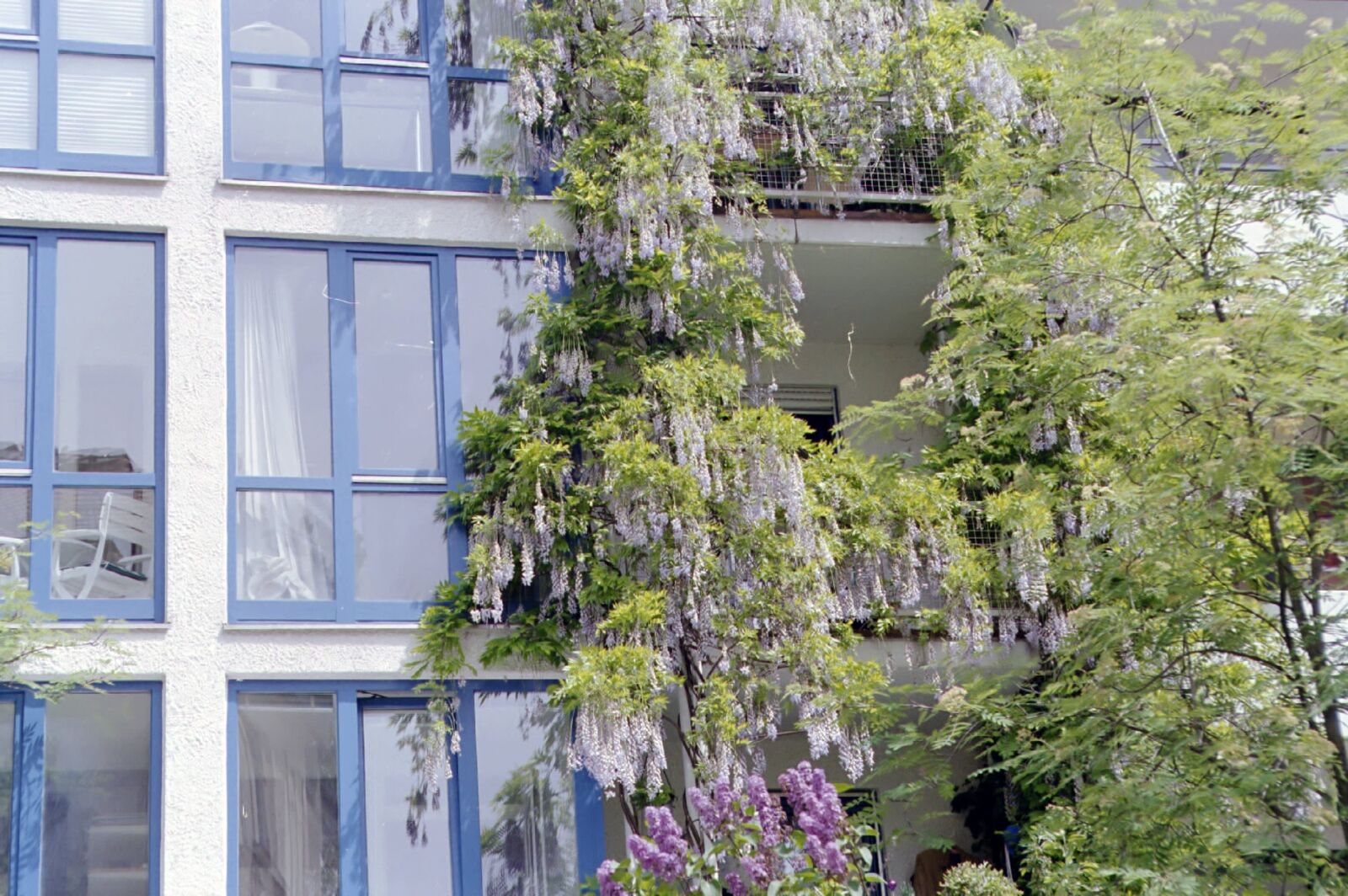 Wohnung