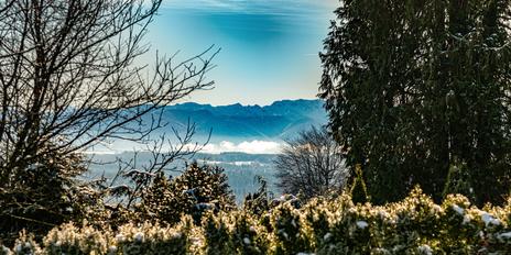 Ruhiges Landidyll: Großzügige Villa mit hochwertiger Ausstattung und traumhaftem Garten