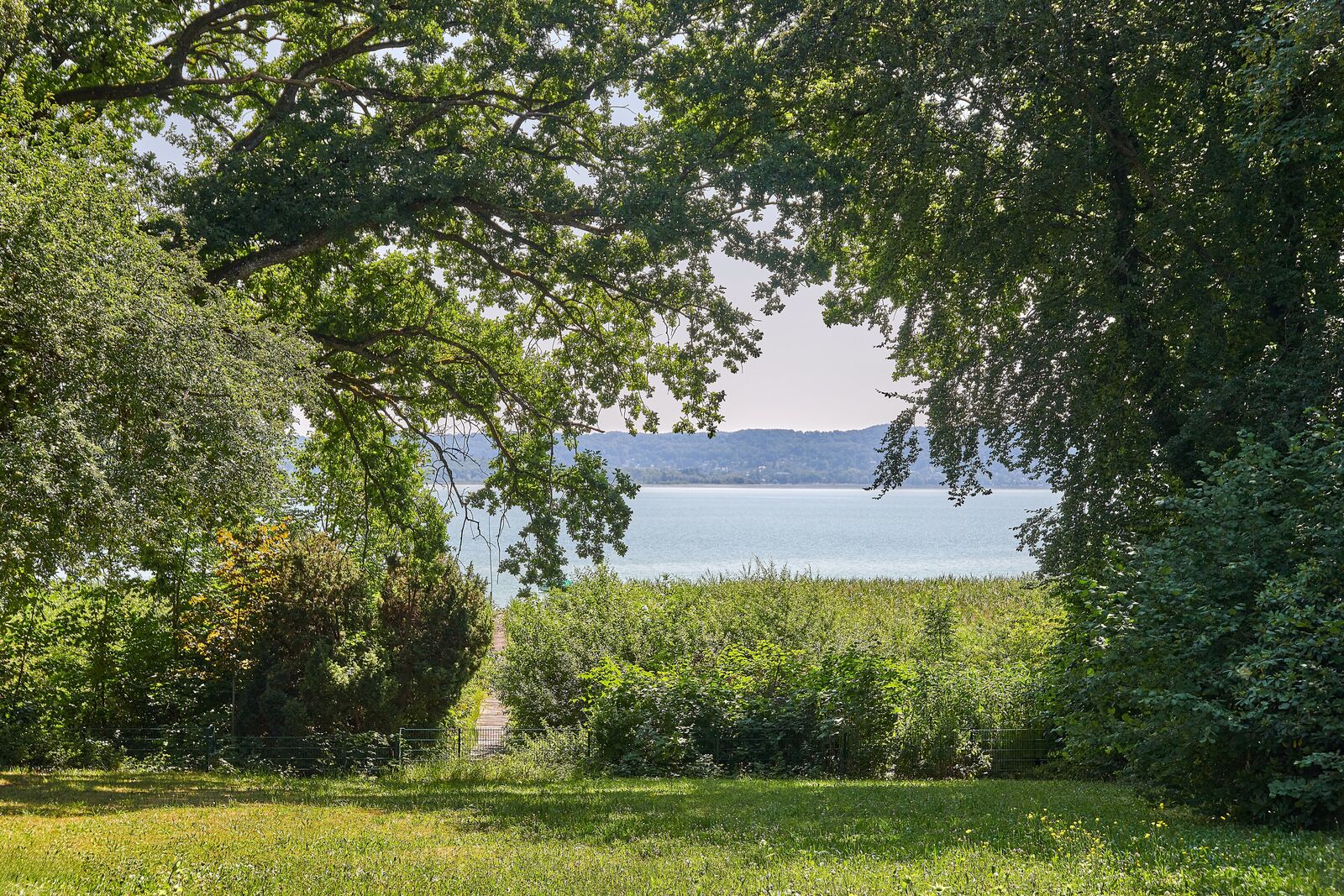 Private path to the lake through an old grove of trees