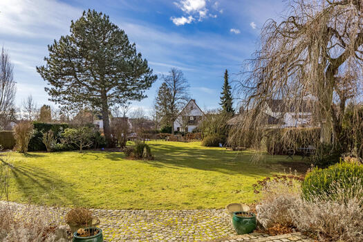 View into the south garden