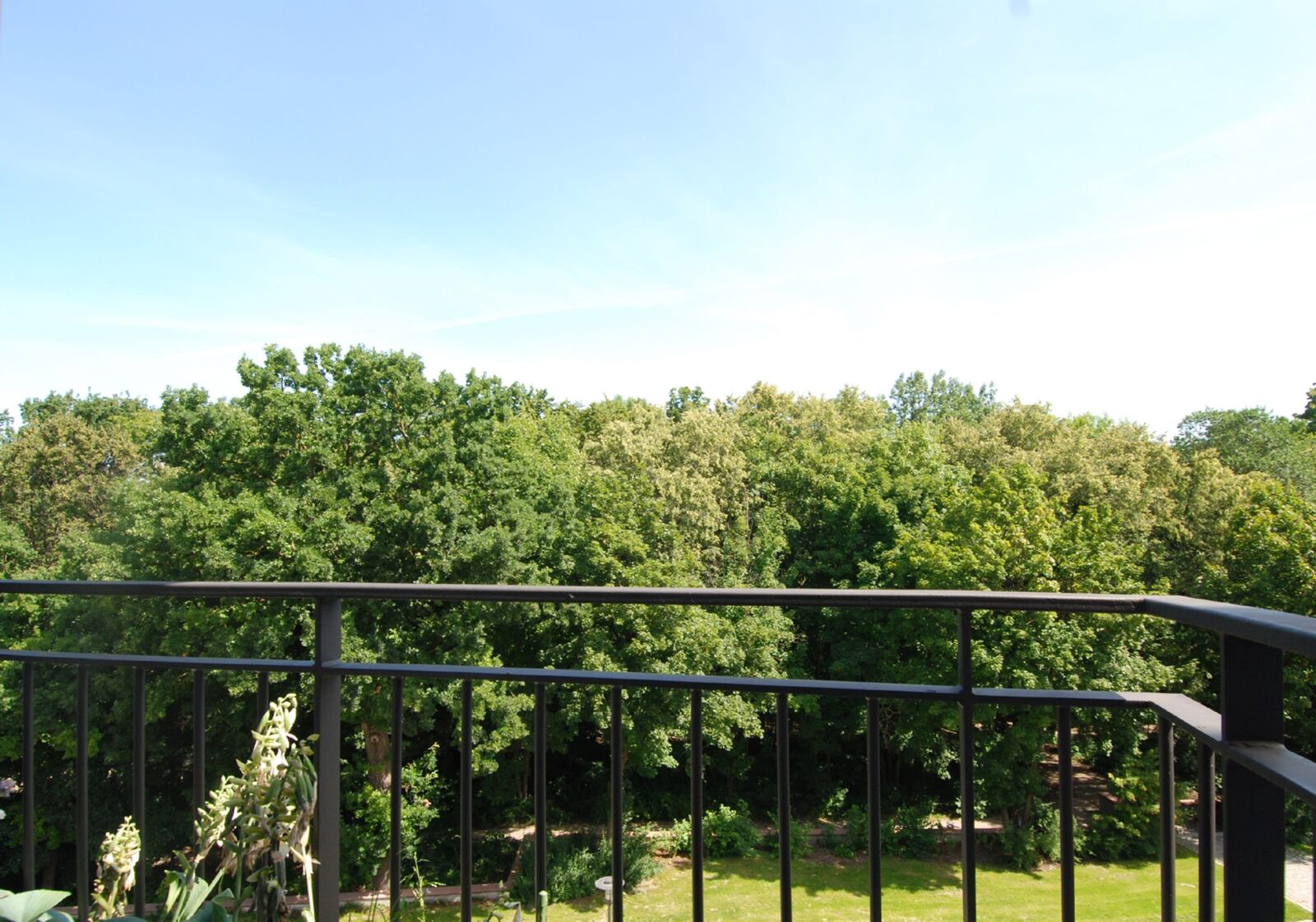 Blick
