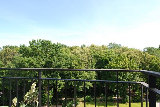 Blick