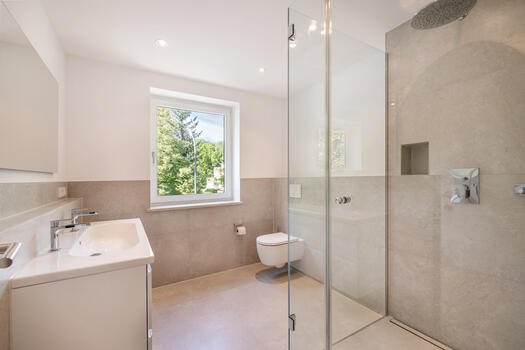 Daylight bathroom with shower