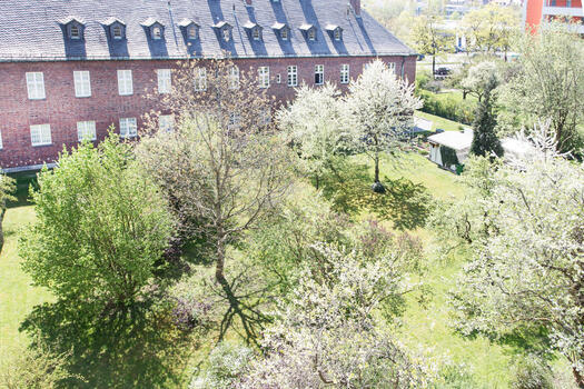 View from the roof terrace