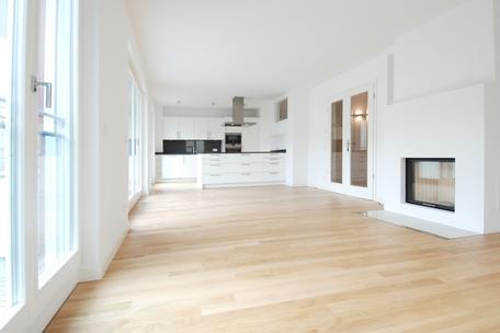 Sunny high-quality furnished four-room apartment with fireplace, exclusive bathrooms and kitchen