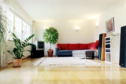 Sonnige Wohnung mit herrlicher Süddachterrasse