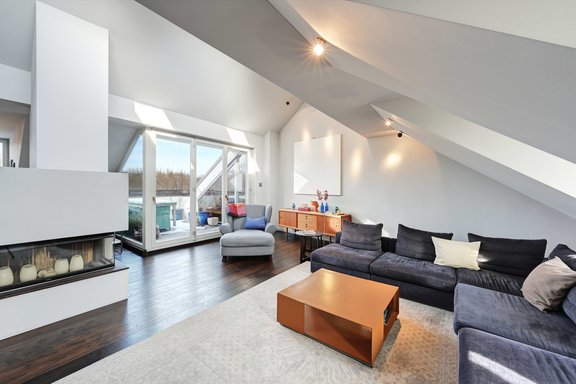 Living area with fireplace