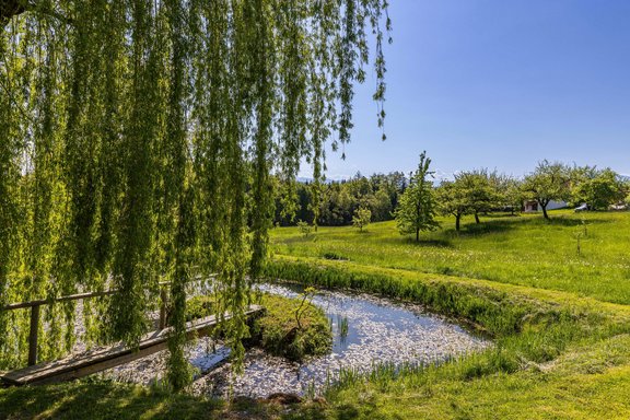 Natural swimming pond