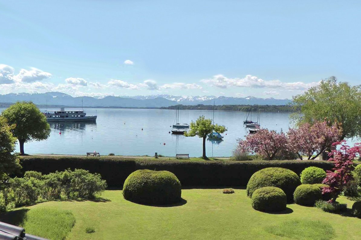 Lake view in summer