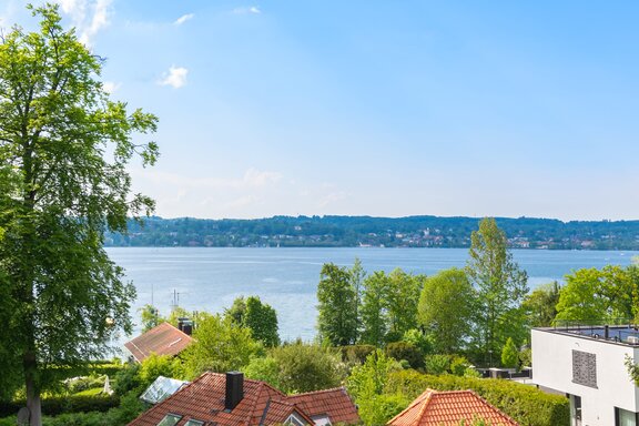 Dream view of the lake