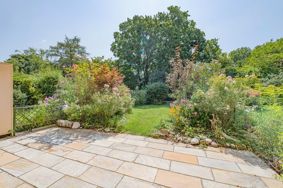 Beautifully overgrown, sunny garden