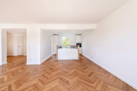 Living- dining area