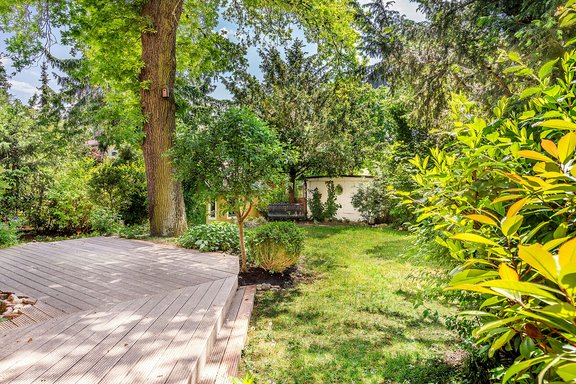 Eingewachsener Garten mit Gartenhäuschen