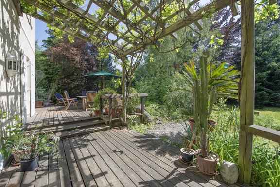Vine-covered pergola