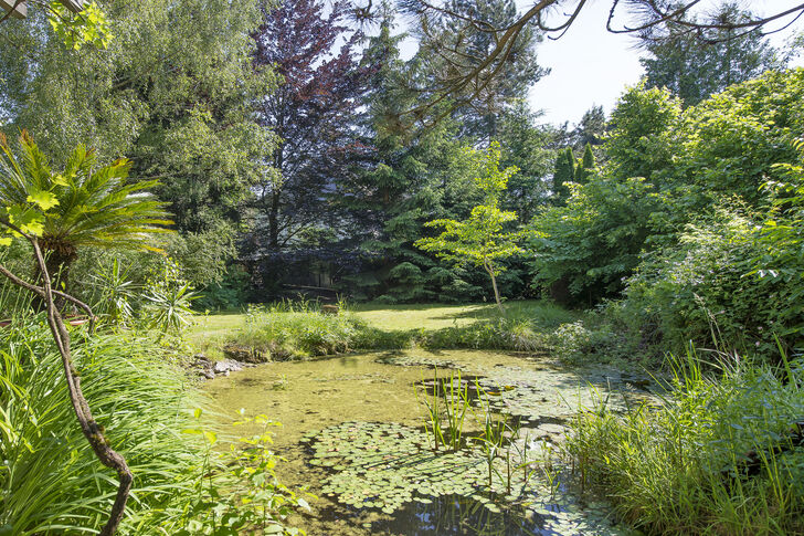 Idyllischer Teich