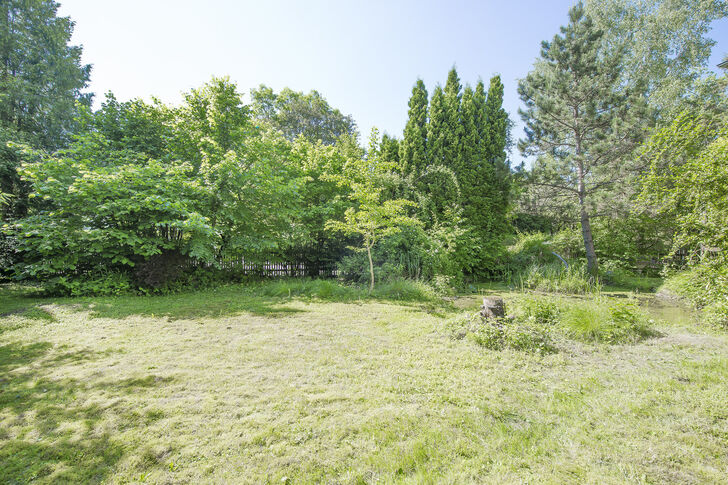 Weitläufiger Garten
