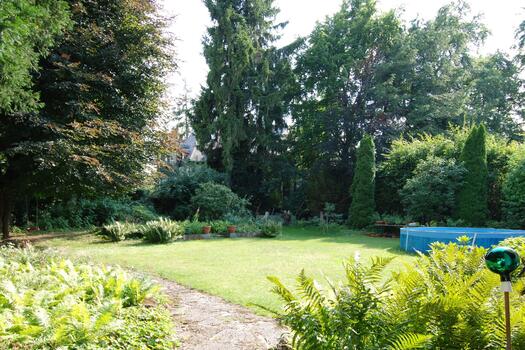 Blick in den Garten