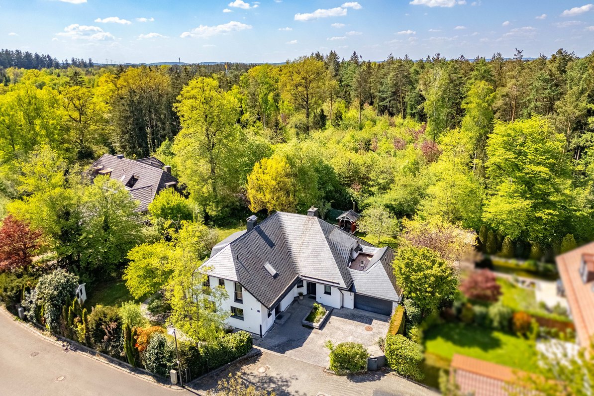 Picturesque living on the edge of the forest