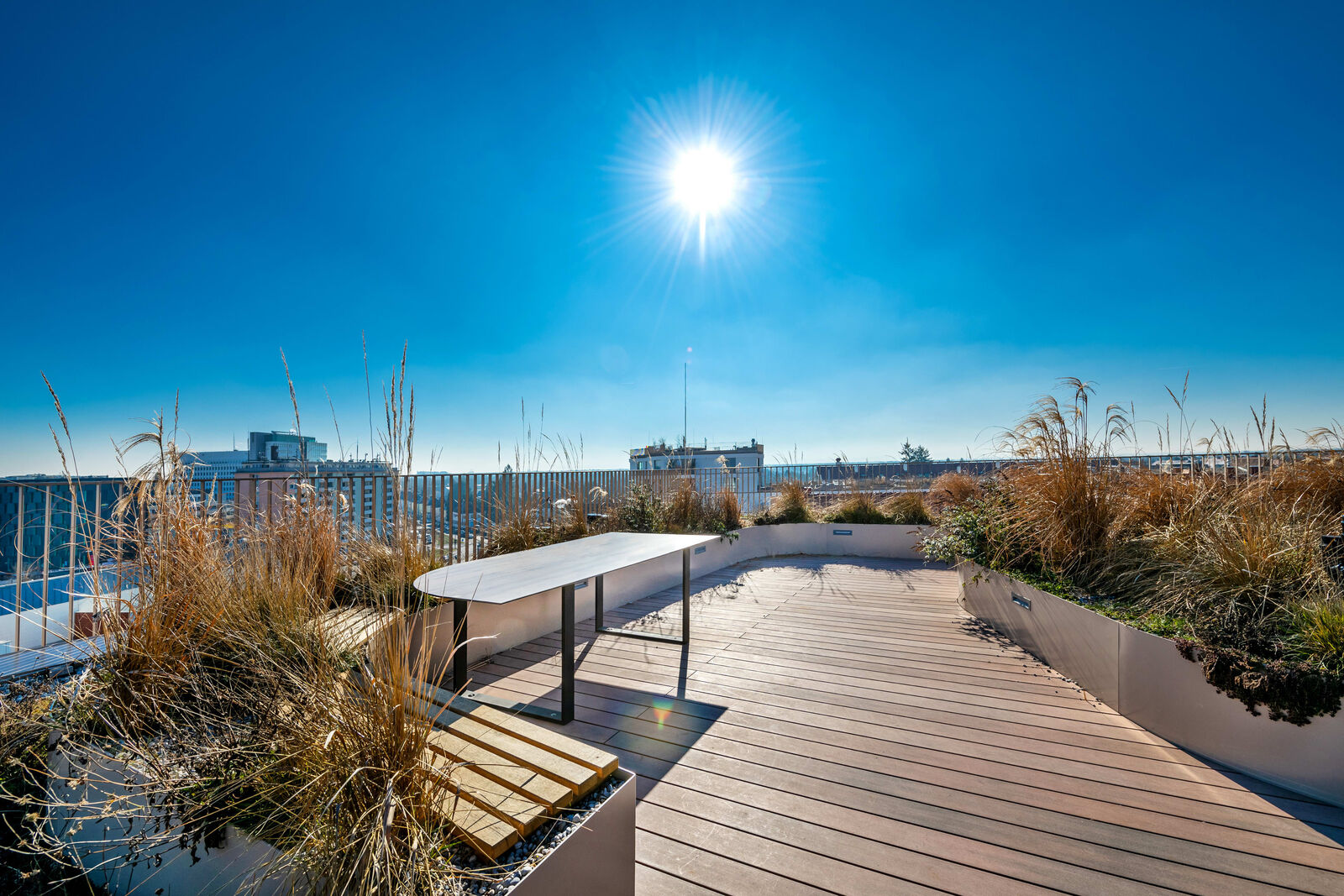 Roofgarden mit Alpenblick
