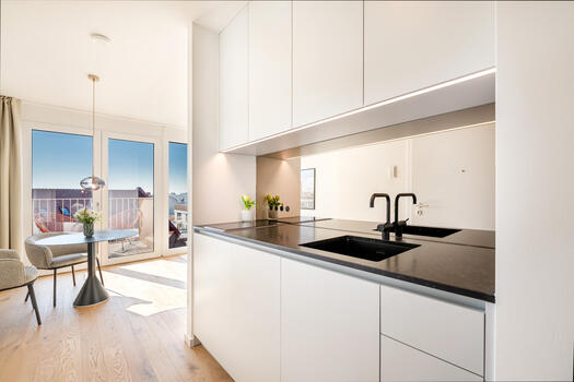 Noble kitchenette with appliances