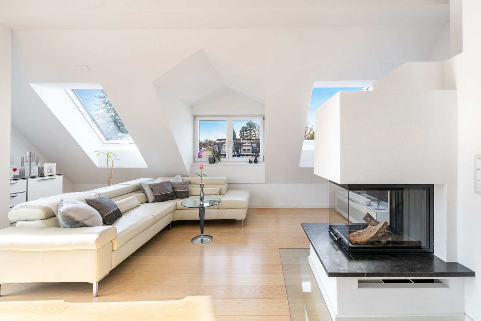 Wohnen mit Panoramakamin