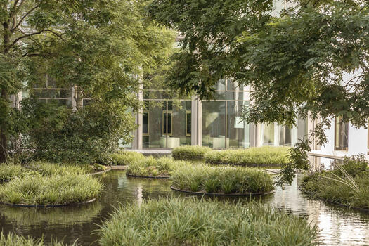 Stylishly landscaped courtyard