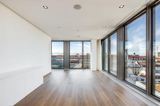 Living- dining area