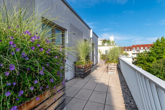 Sonnige Süd-Terrasse
