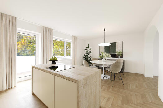 Open kitchen (visualized)