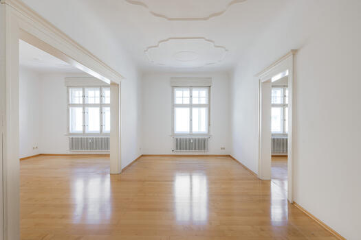 Reizvolle Altbauwohnung
